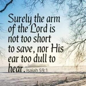 Meet your Posher, Phyllis